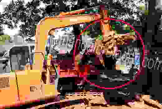 contractor   felling tree 1